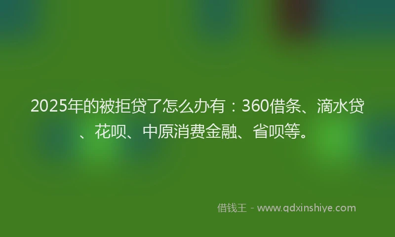 2025年的被拒贷了怎么办有：360借条、滴水贷、花呗、中原消费金融、省呗等。