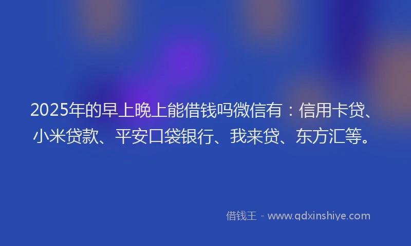 2025年的早上晚上能借钱吗微信有：信用卡贷、小米贷款、平安口袋银行、我来贷、东方汇等。