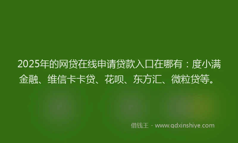2025年的网贷在线申请贷款入口在哪有：度小满金融、维信卡卡贷、花呗、东方汇、微粒贷等。