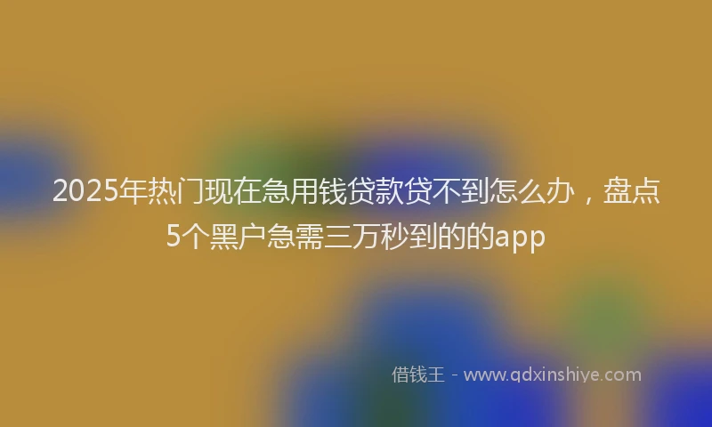 2025年热门现在急用钱贷款贷不到怎么办，盘点5个黑户急需三万秒到的的app