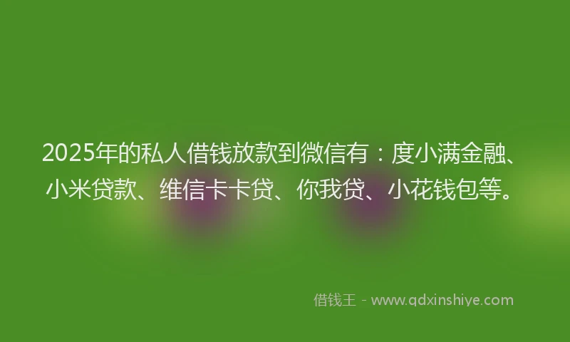 2025年的私人借钱放款到微信有：度小满金融、小米贷款、维信卡卡贷、你我贷、小花钱包等。