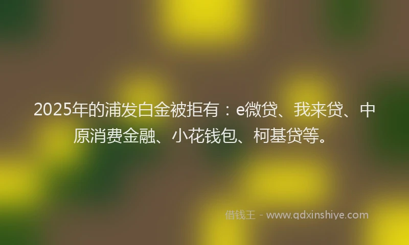 2025年的浦发白金被拒有：e微贷、我来贷、中原消费金融、小花钱包、柯基贷等。