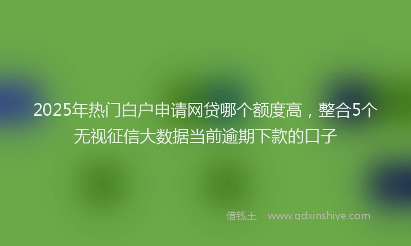 2025年热门白户申请网贷哪个额度高，整合5个无视征信大数据当前逾期下款的口子