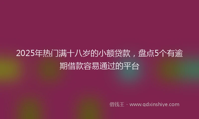 2025年热门满十八岁的小额贷款，盘点5个有逾期借款容易通过的平台