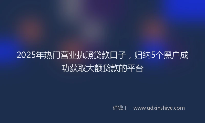 2025年热门营业执照贷款口子，归纳5个黑户成功获取大额贷款的平台
