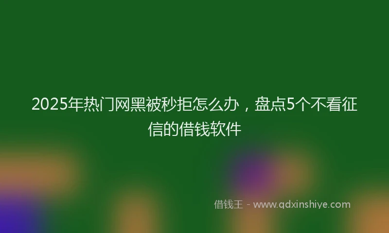 2025年热门网黑被秒拒怎么办，盘点5个不看征信的借钱软件