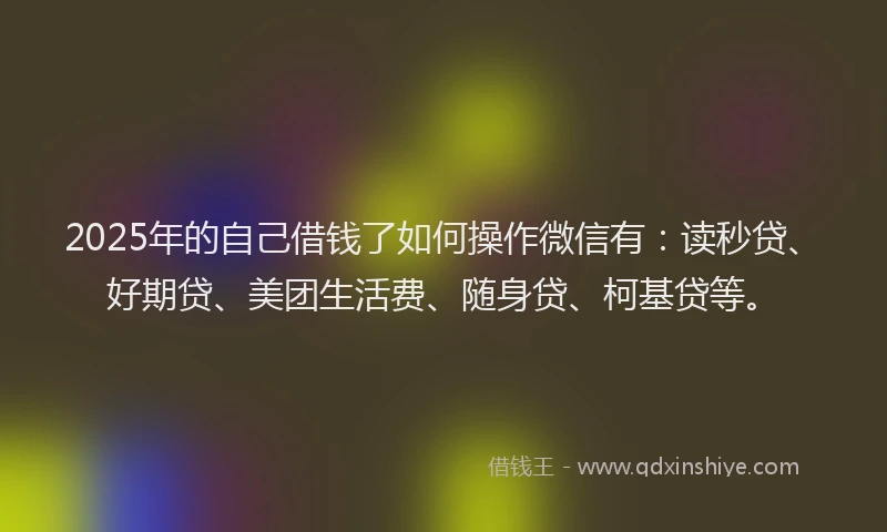 2025年的自己借钱了如何操作微信有：读秒贷、好期贷、美团生活费、随身贷、柯基贷等。