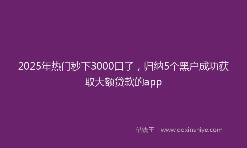 2025年热门秒下3000口子，归纳5个黑户成功获取大额贷款的app