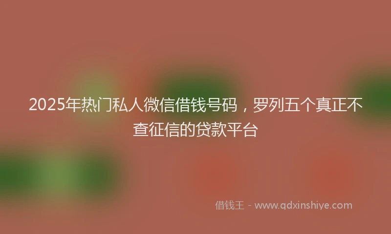 2025年热门私人微信借钱号码，罗列五个真正不查征信的贷款平台
