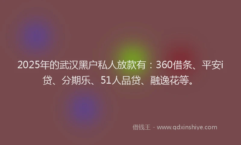 2025年的武汉黑户私人放款有：360借条、平安i贷、分期乐、51人品贷、融逸花等。