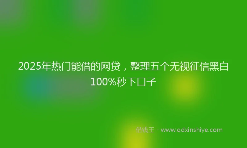 2025年热门能借的网贷，整理五个无视征信黑白100%秒下口子