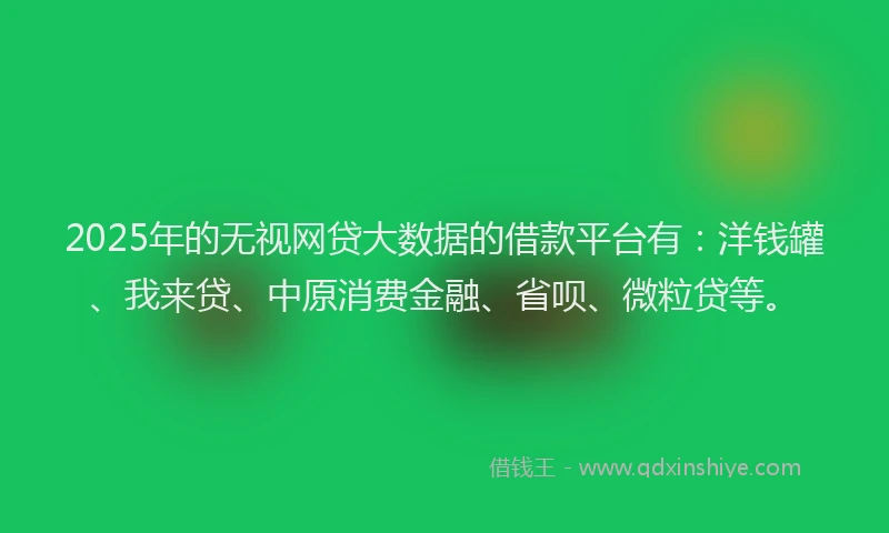 2025年的无视网贷大数据的借款平台有：洋钱罐、我来贷、中原消费金融、省呗、微粒贷等。