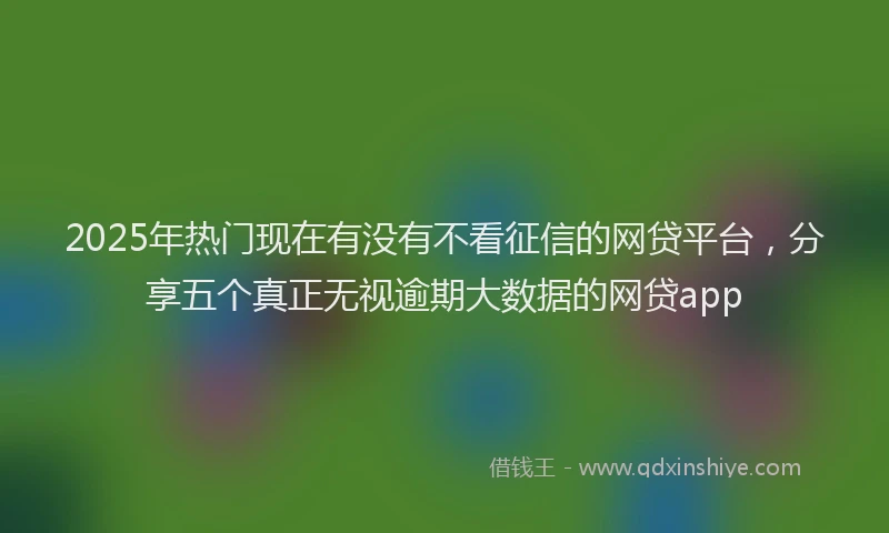 2025年热门现在有没有不看征信的网贷平台，分享五个真正无视逾期大数据的网贷app