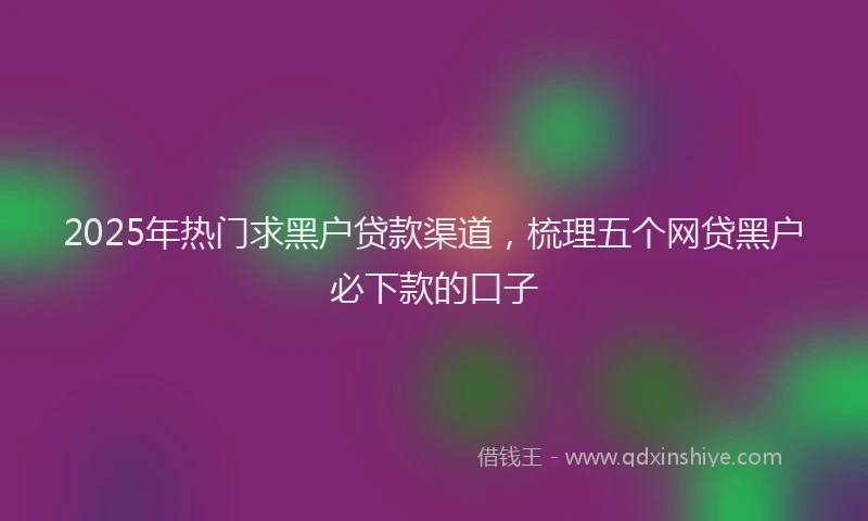 2025年热门求黑户贷款渠道，梳理五个网贷黑户必下款的口子