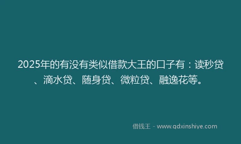 2025年的有没有类似借款大王的口子有：读秒贷、滴水贷、随身贷、微粒贷、融逸花等。