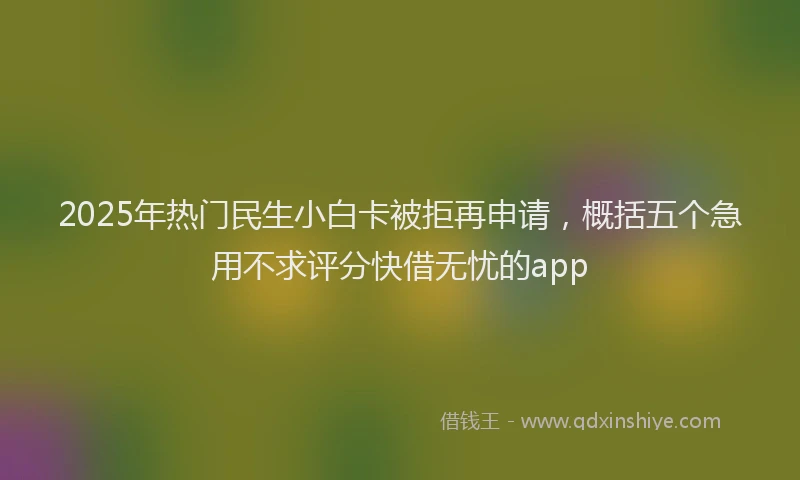 2025年热门民生小白卡被拒再申请，概括五个急用不求评分快借无忧的app