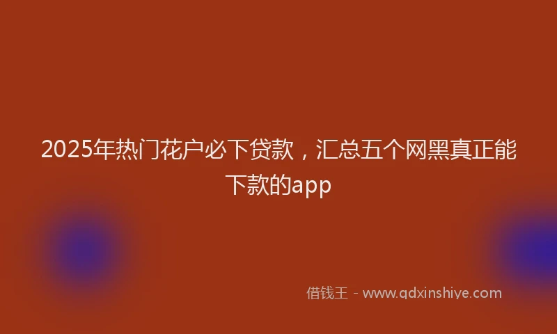 2025年热门花户必下贷款，汇总五个网黑真正能下款的app