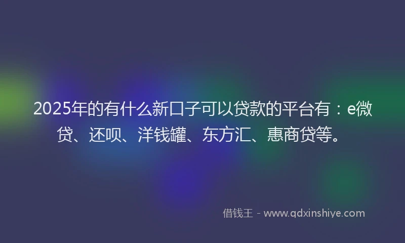 2025年的有什么新口子可以贷款的平台有：e微贷、还呗、洋钱罐、东方汇、惠商贷等。