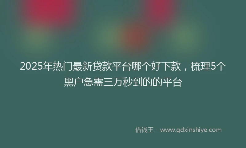 2025年热门最新贷款平台哪个好下款，梳理5个黑户急需三万秒到的的平台