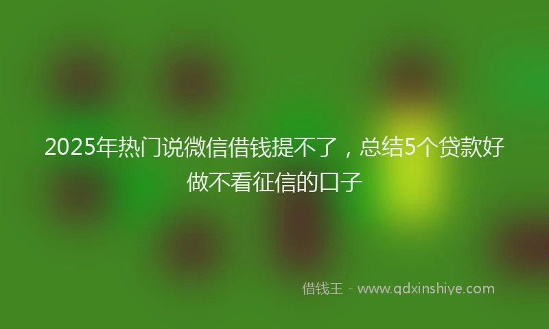 2025年热门说微信借钱提不了，总结5个贷款好做不看征信的口子