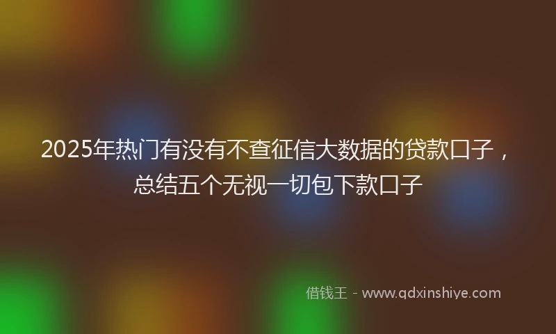2025年热门有没有不查征信大数据的贷款口子，总结五个无视一切包下款口子