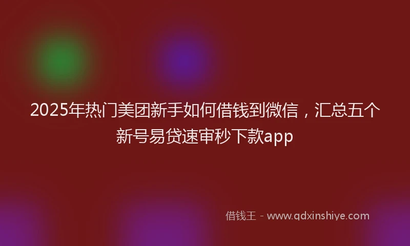 2025年热门美团新手如何借钱到微信，汇总五个新号易贷速审秒下款app