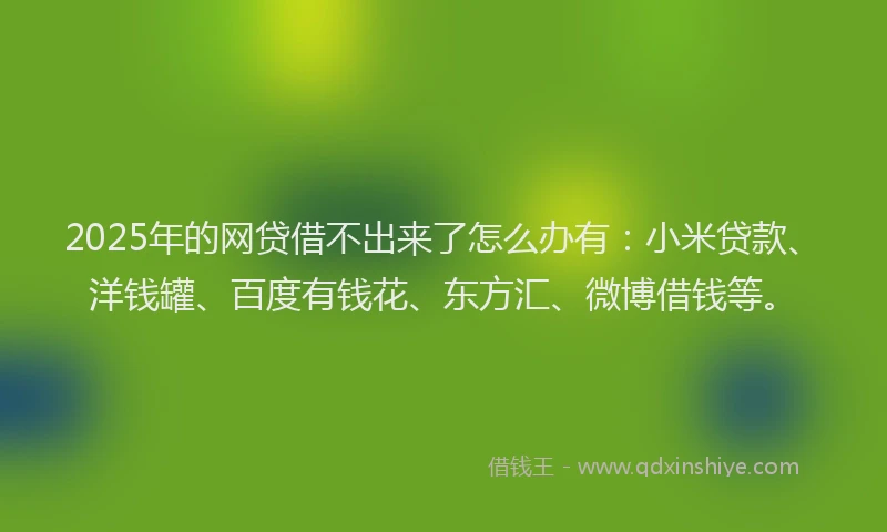 2025年的网贷借不出来了怎么办有：小米贷款、洋钱罐、百度有钱花、东方汇、微博借钱等。