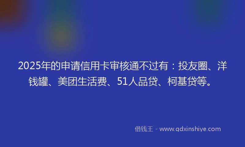 2025年的申请信用卡审核通不过有：投友圈、洋钱罐、美团生活费、51人品贷、柯基贷等。