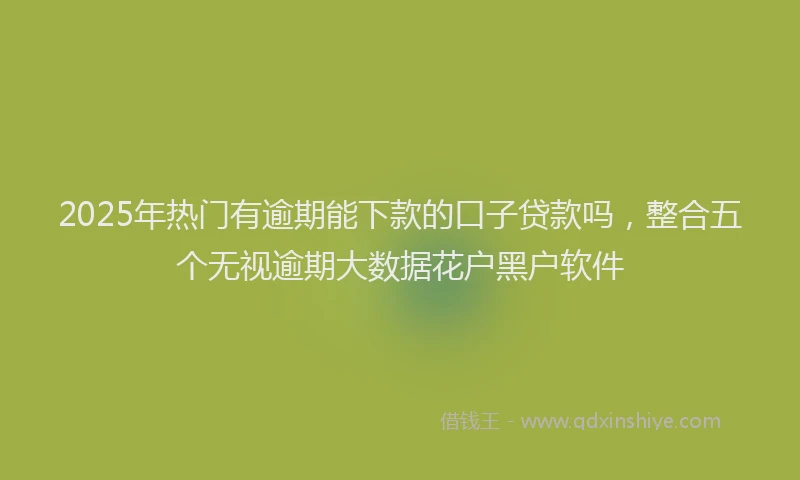 2025年热门有逾期能下款的口子贷款吗，整合五个无视逾期大数据花户黑户软件