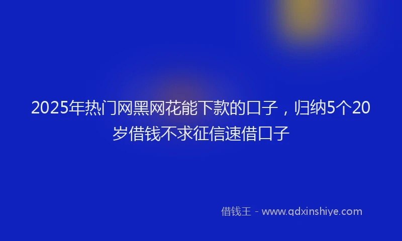 2025年热门网黑网花能下款的口子，归纳5个20岁借钱不求征信速借口子