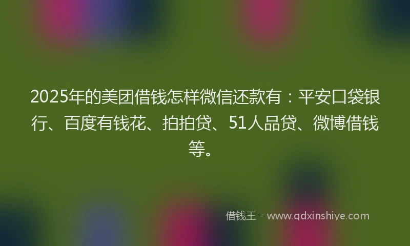 2025年的美团借钱怎样微信还款有：平安口袋银行、百度有钱花、拍拍贷、51人品贷、微博借钱等。