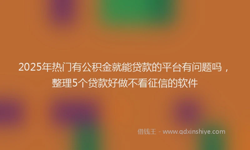 2025年热门有公积金就能贷款的平台有问题吗，整理5个贷款好做不看征信的软件