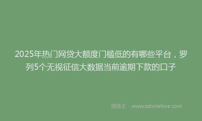 2025年热门网贷大额度门槛低的有哪些平台，罗列5个无视征信大数据当前逾期下款的口子