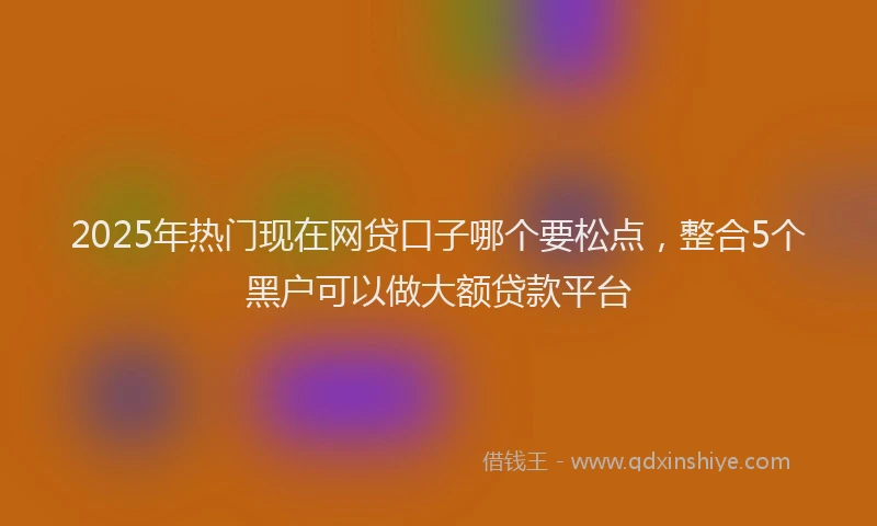 2025年热门现在网贷口子哪个要松点，整合5个黑户可以做大额贷款平台