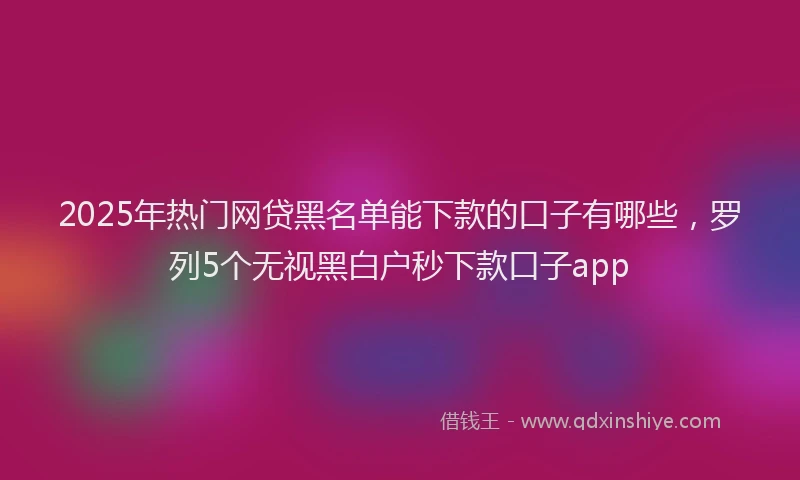 2025年热门网贷黑名单能下款的口子有哪些，罗列5个无视黑白户秒下款口子app