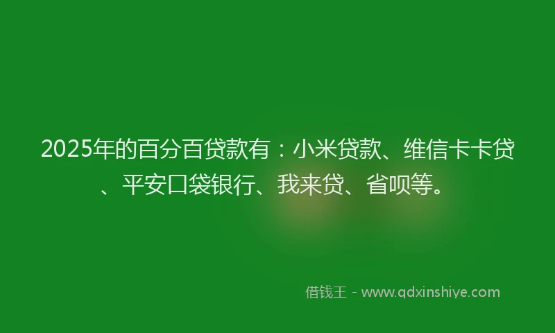 2025年的百分百贷款有：小米贷款、维信卡卡贷、平安口袋银行、我来贷、省呗等。