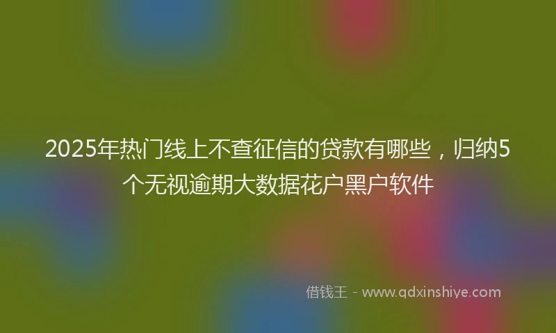 2025年热门线上不查征信的贷款有哪些，归纳5个无视逾期大数据花户黑户软件