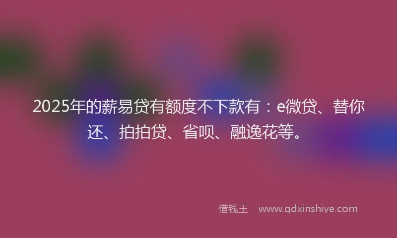 2025年的薪易贷有额度不下款有：e微贷、替你还、拍拍贷、省呗、融逸花等。