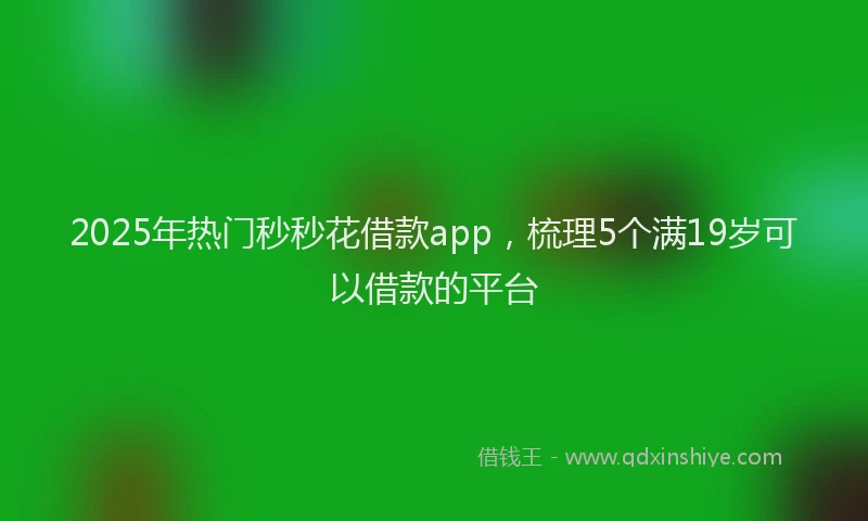 2025年热门秒秒花借款app，梳理5个满19岁可以借款的平台