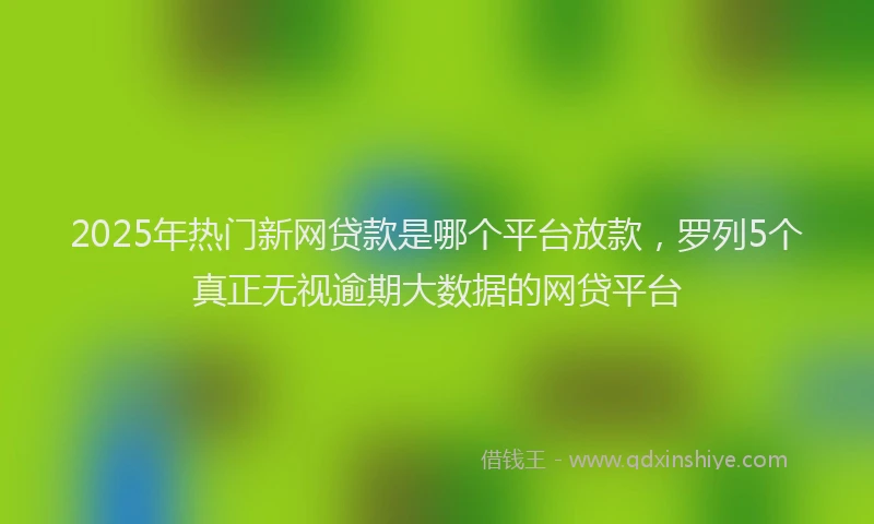 2025年热门新网贷款是哪个平台放款，罗列5个真正无视逾期大数据的网贷平台