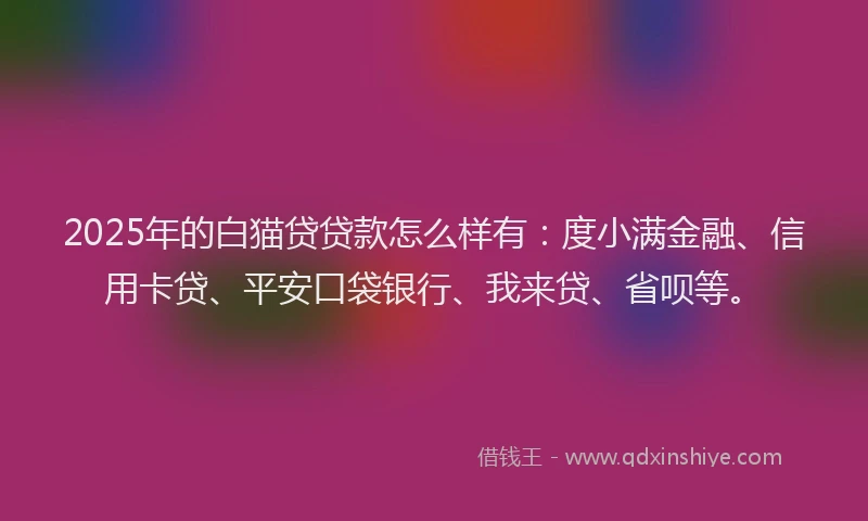 2025年的白猫贷贷款怎么样有：度小满金融、信用卡贷、平安口袋银行、我来贷、省呗等。