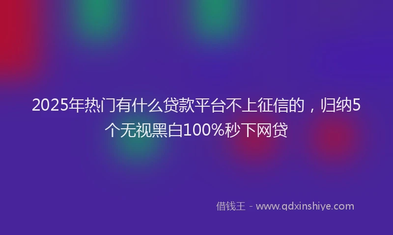 2025年热门有什么贷款平台不上征信的，归纳5个无视黑白100%秒下网贷