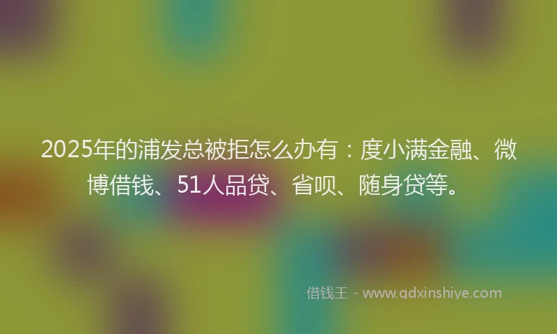 2025年的浦发总被拒怎么办有：度小满金融、微博借钱、51人品贷、省呗、随身贷等。
