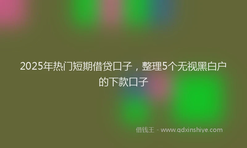 2025年热门短期借贷口子，整理5个无视黑白户的下款口子