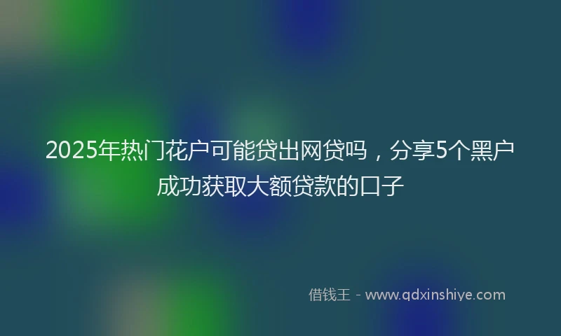 2025年热门花户可能贷出网贷吗，分享5个黑户成功获取大额贷款的口子
