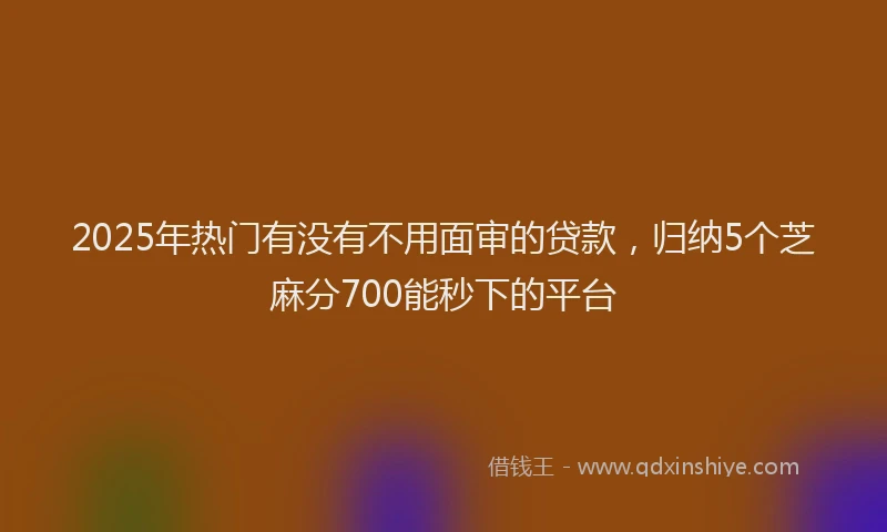 2025年热门有没有不用面审的贷款，归纳5个芝麻分700能秒下的平台