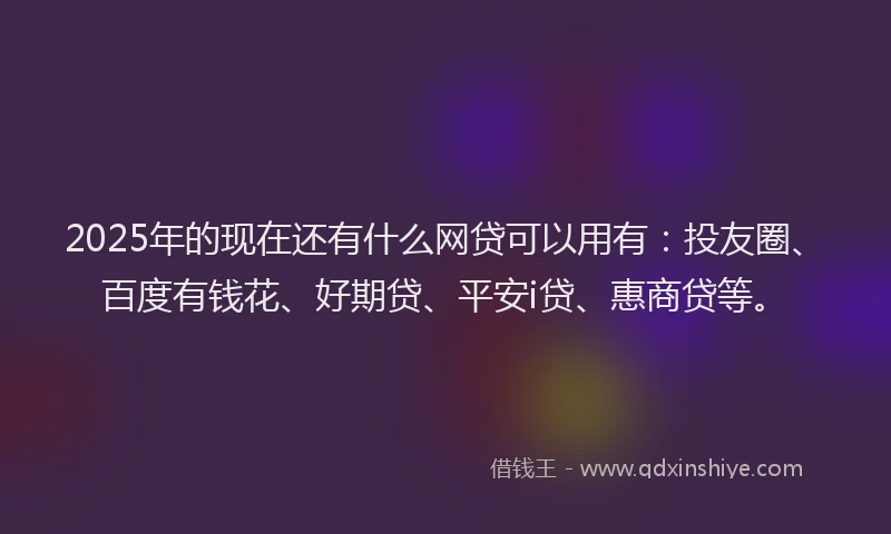 2025年的现在还有什么网贷可以用有：投友圈、百度有钱花、好期贷、平安i贷、惠商贷等。