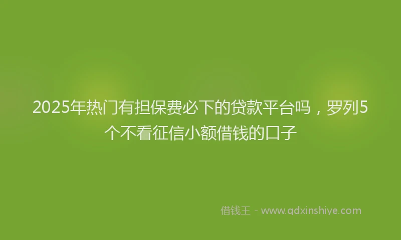 2025年热门有担保费必下的贷款平台吗，罗列5个不看征信小额借钱的口子