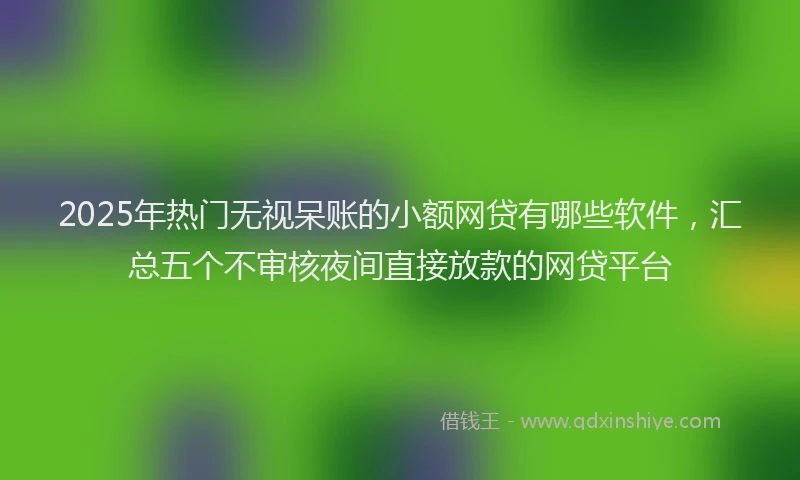 2025年热门无视呆账的小额网贷有哪些软件，汇总五个不审核夜间直接放款的网贷平台