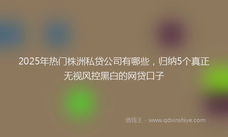 2025年热门株洲私贷公司有哪些，归纳5个真正无视风控黑白的网贷口子